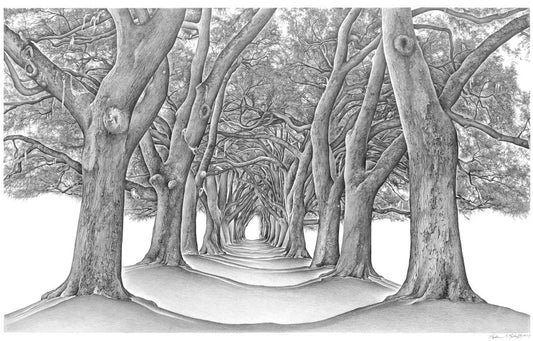 Avenue of the Oaks