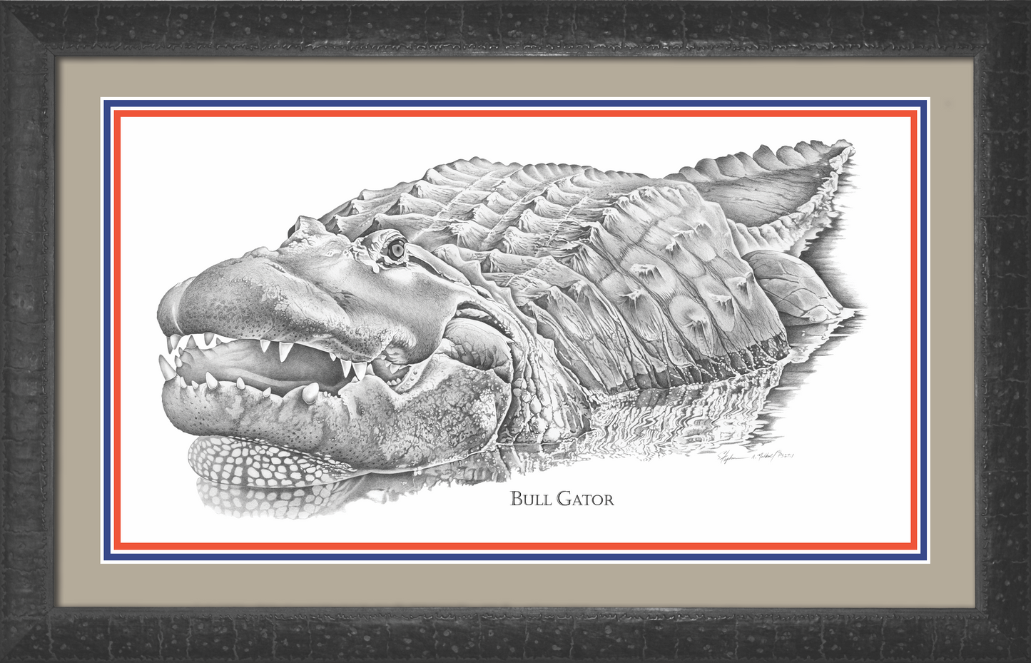 The Bull Gator