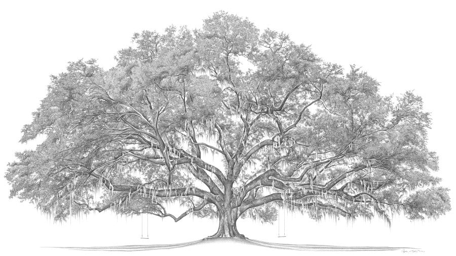 Heritage Oak