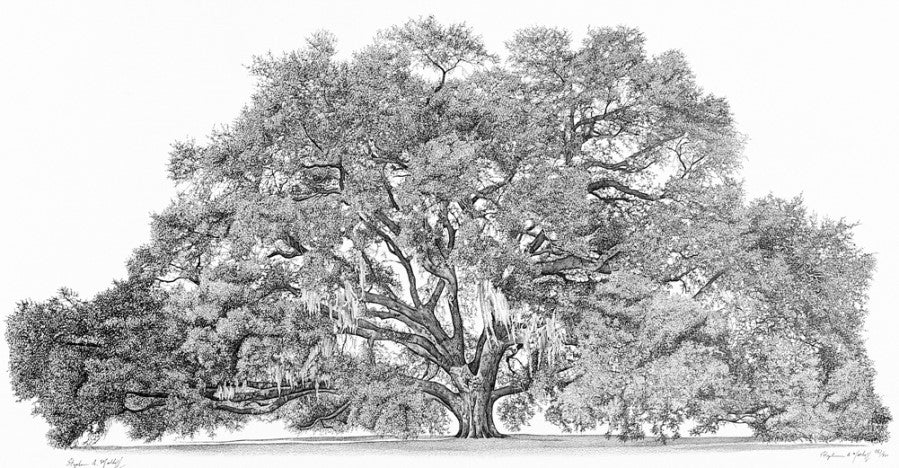 The Ole Geneva Oak (The Contitution Oak) (Giclee)