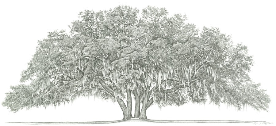 sidney lanier tiger lilies Sidney Lanier Oak – Malkoff Gallery