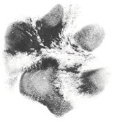 UGA X ( Open Edition)