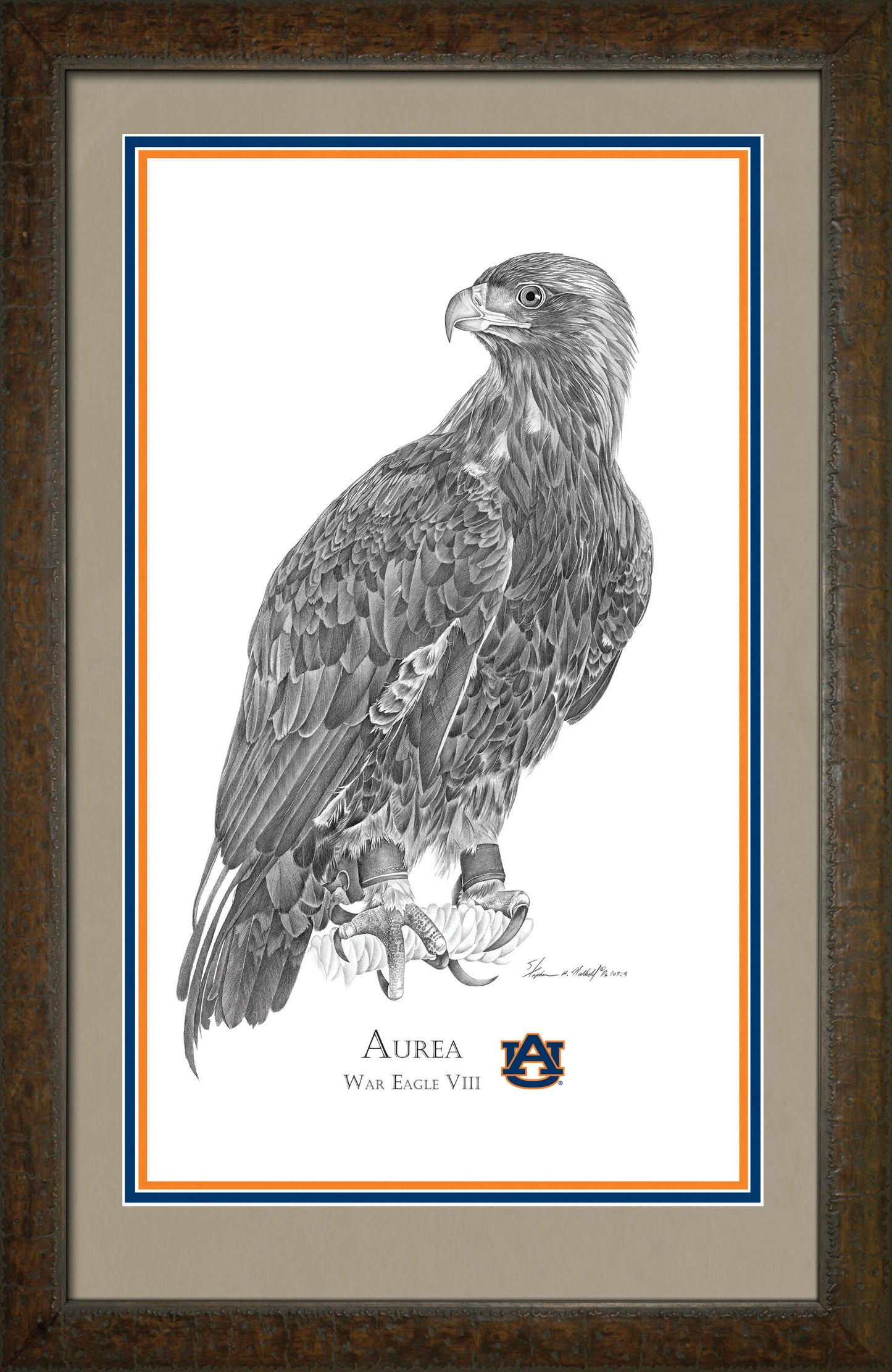 Aurea - War Eagle VIII