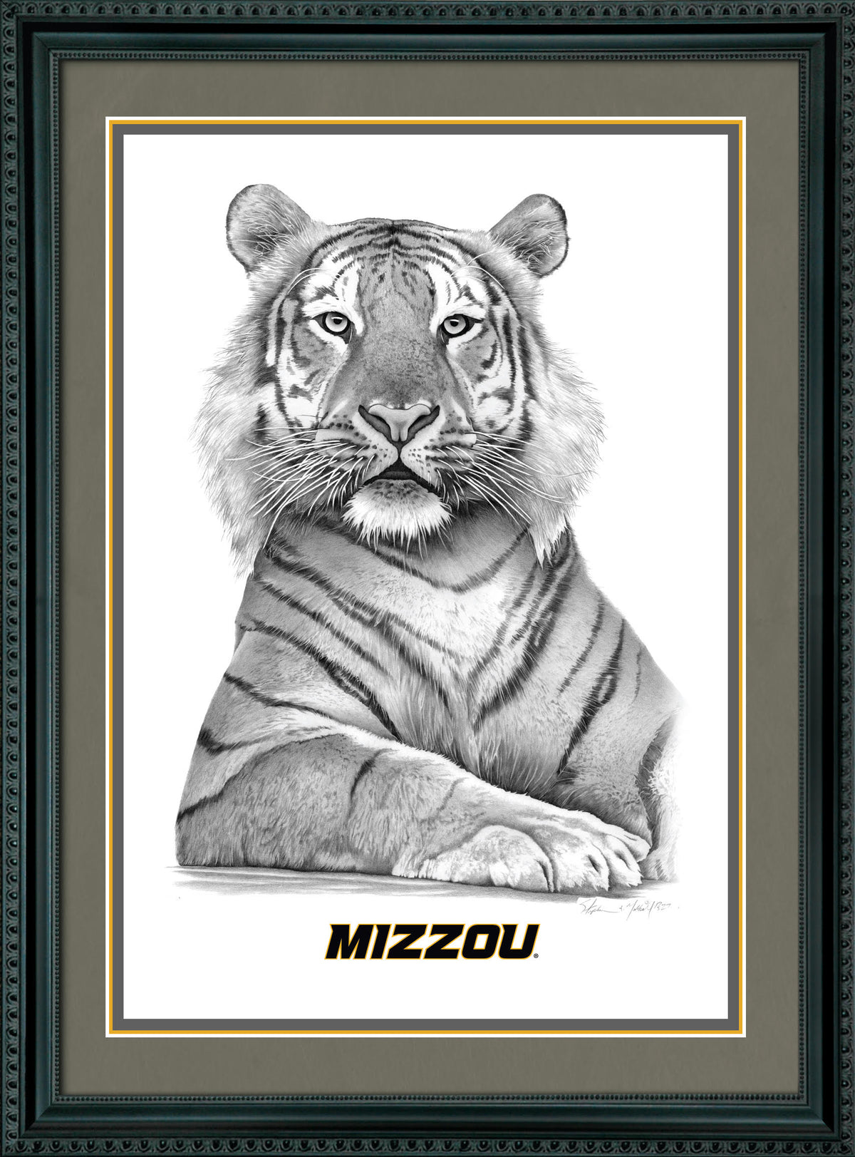 Mizzou Tiger