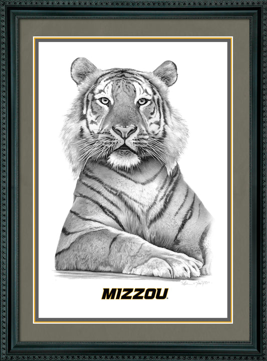 Mizzou Tiger