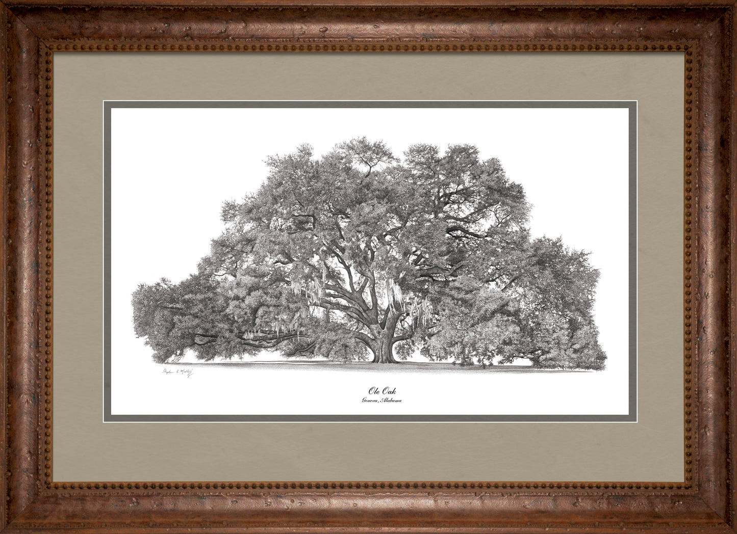 The Ole Geneva Oak (The Contitution Oak) (Giclee)