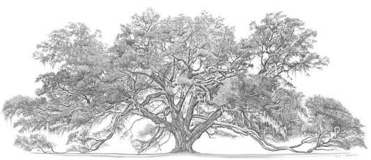 Lichgate Oak
