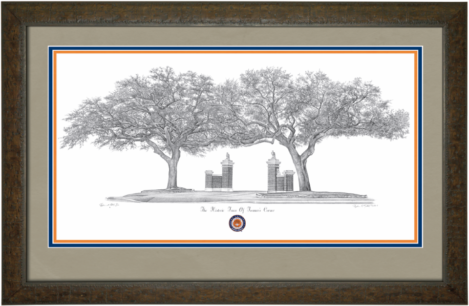 Toomer's Corner Oaks – Malkoff Gallery